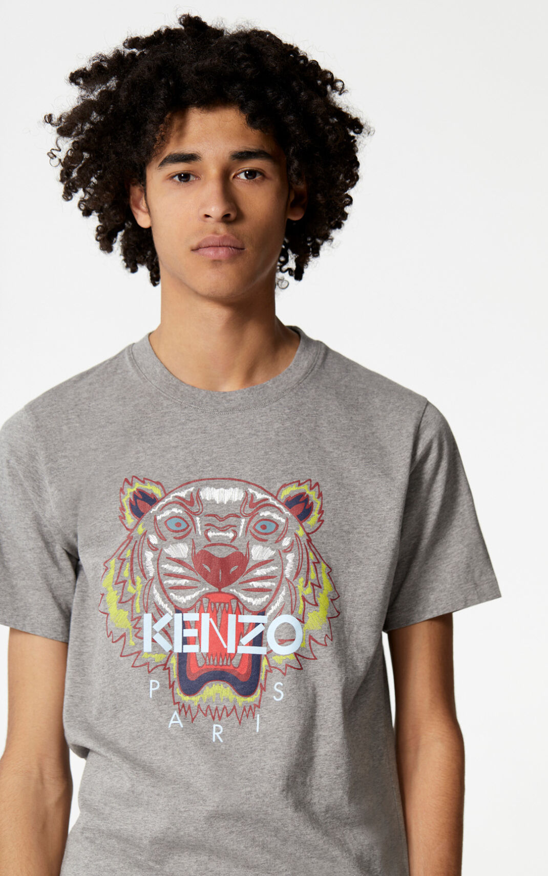 Camisetas Kenzo Tiger Hombre Gris - SKU.6417069